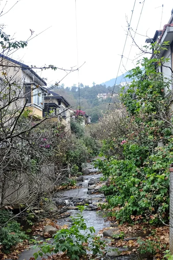 雪落时她修成仙 竖屏短剧封面，仙侠、逆袭、古装题材